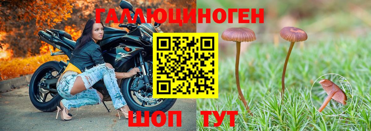 Реж  Псилоцибиновые грибы Psilocybine cubensis  Вход с VPN 
